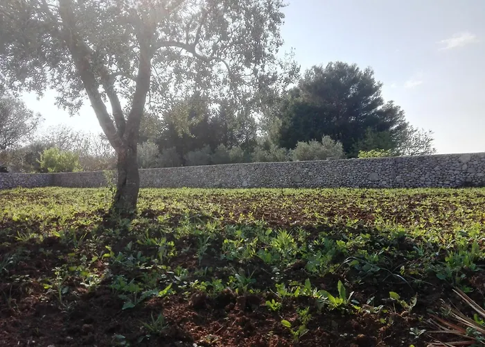 Ferienhaus Palacca, Trullo Salentino *