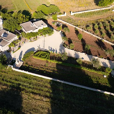 Palacca, Trullo Salentino * أندرانو