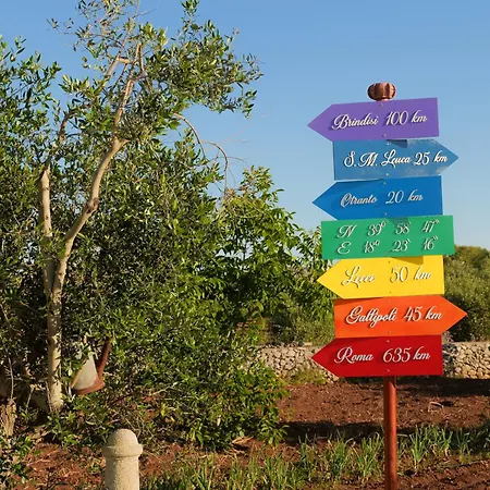 بيت للعطل Palacca, Trullo Salentino أندرانو