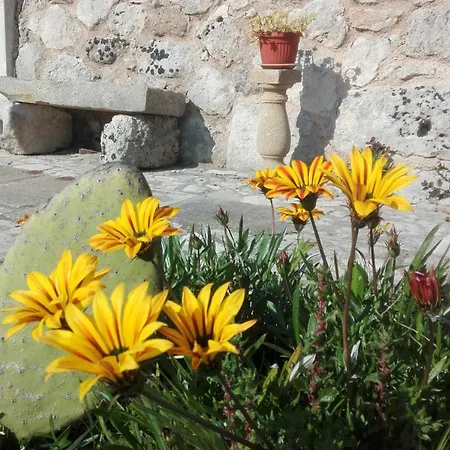 Palacca, Trullo Salentino بيت للعطل أندرانو
